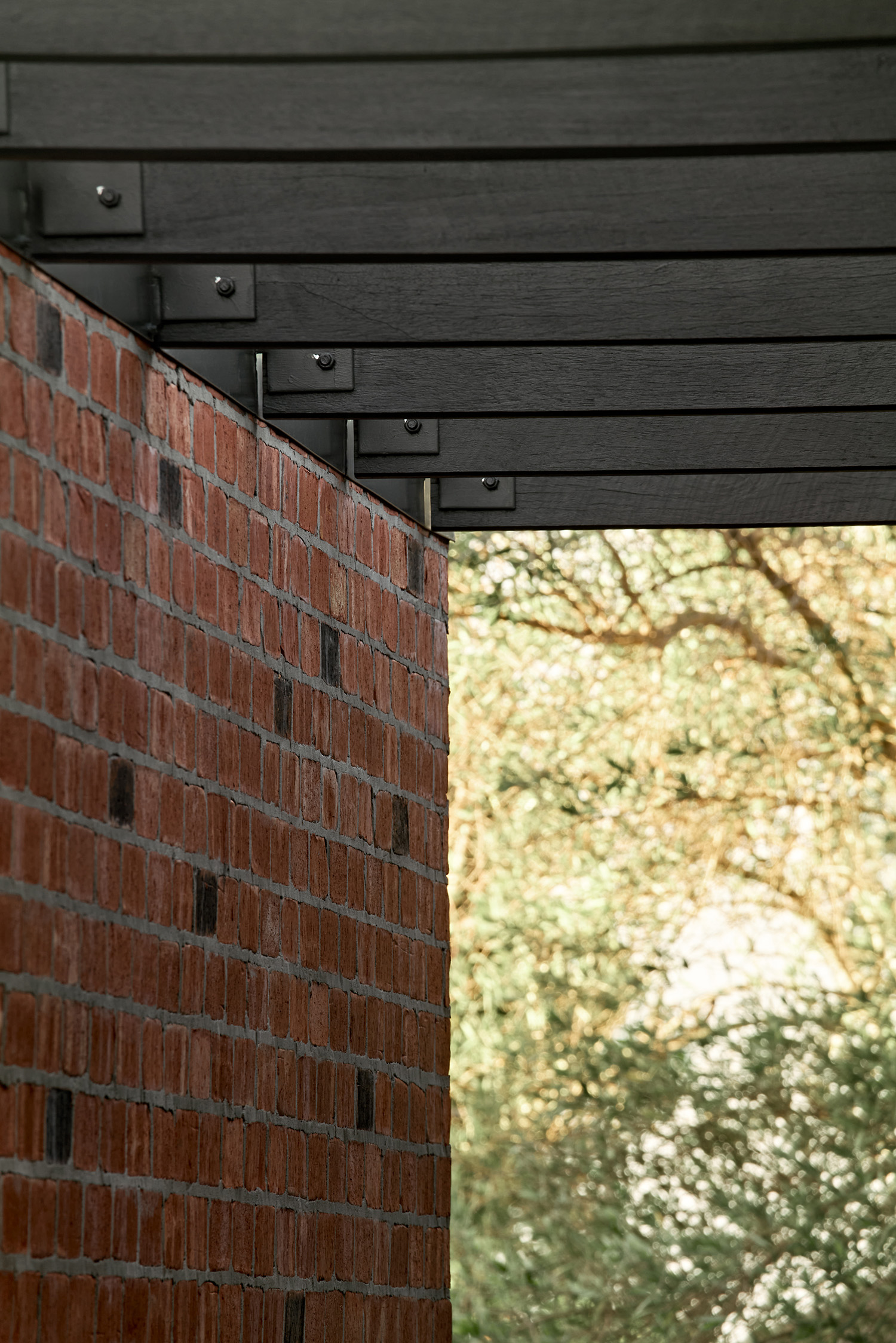 Room with a View_Pergola